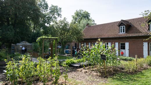 Prenons soin du potager