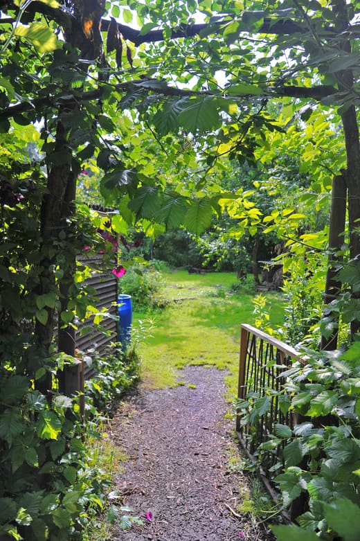 Atelier d’été : Initiation au dessin naturaliste (jeune public : 7-15 ans)