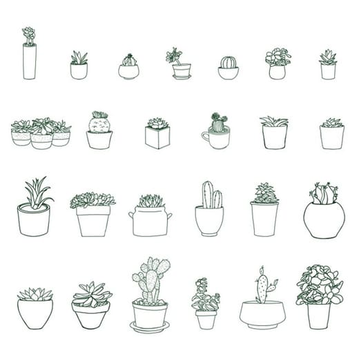 Troc aux plantes