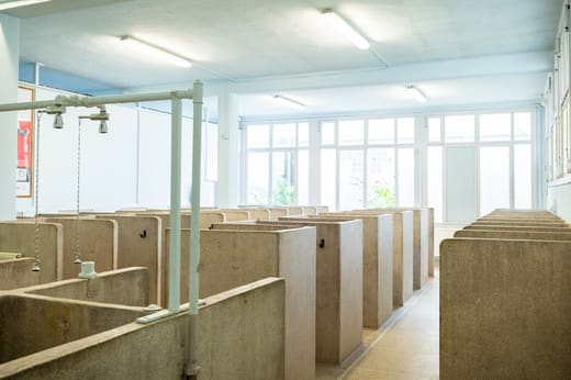Découverte des douches du Paris-Roubaix